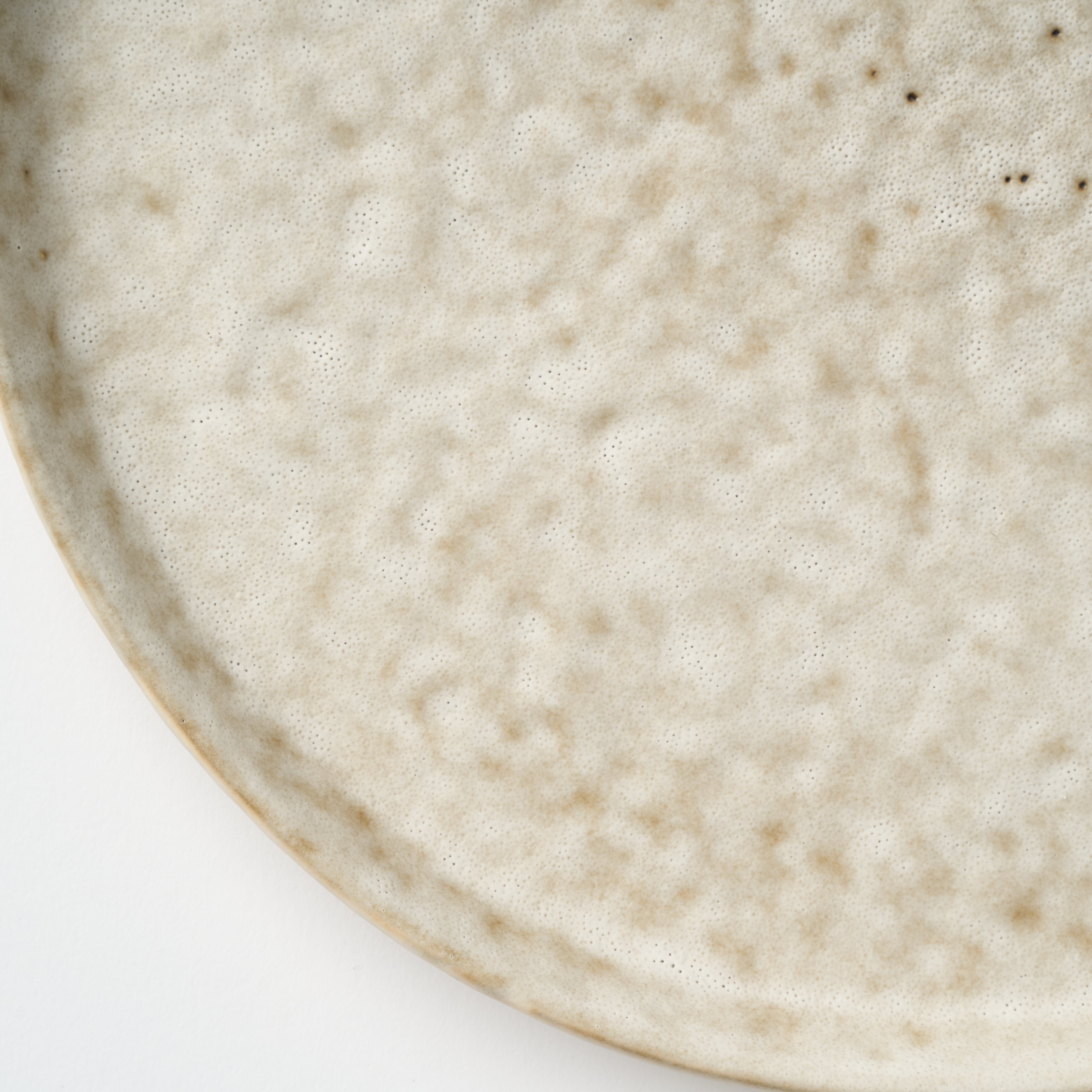 Terrain Dinner Plate - Set of 4