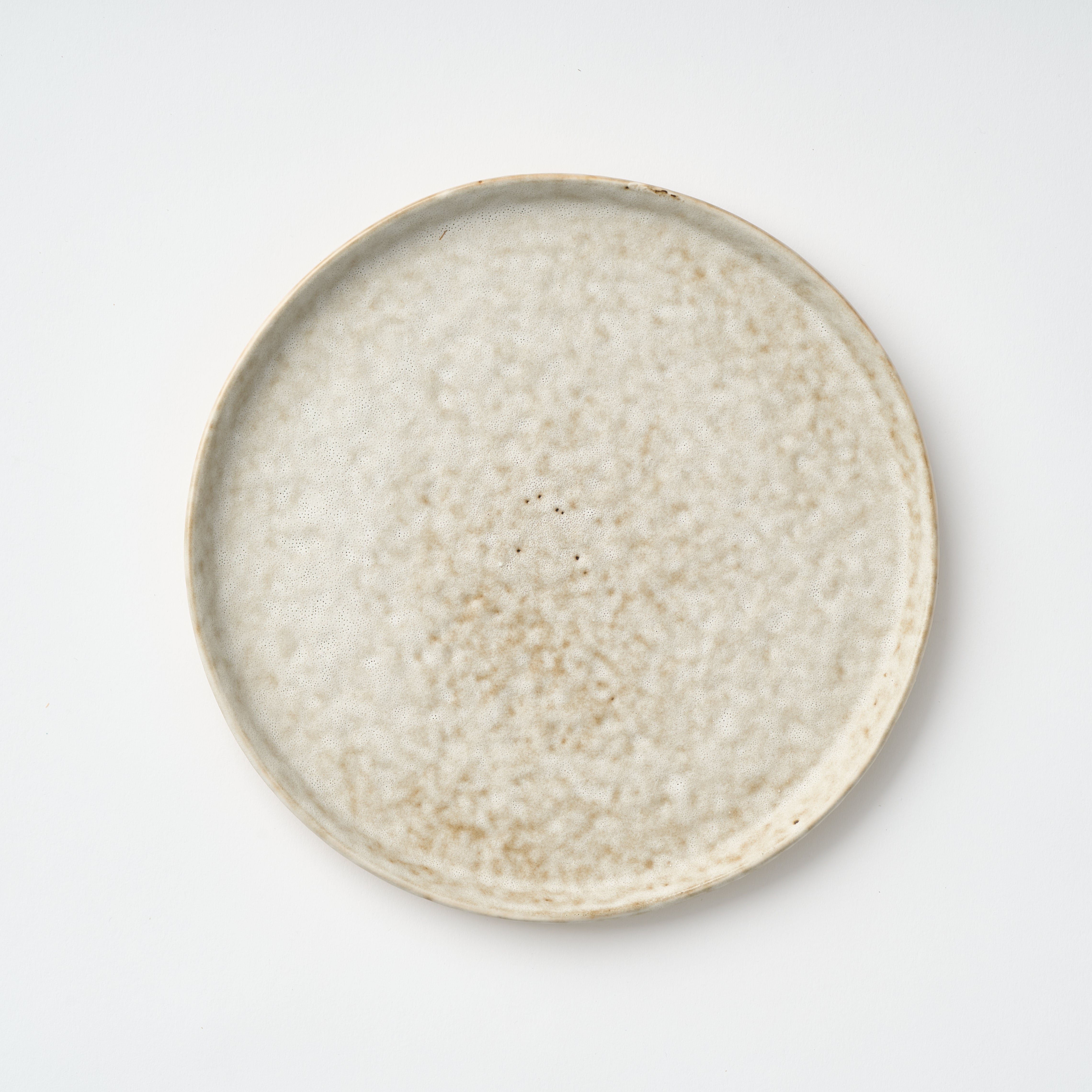 Terrain Dinner Plate - Set of 4