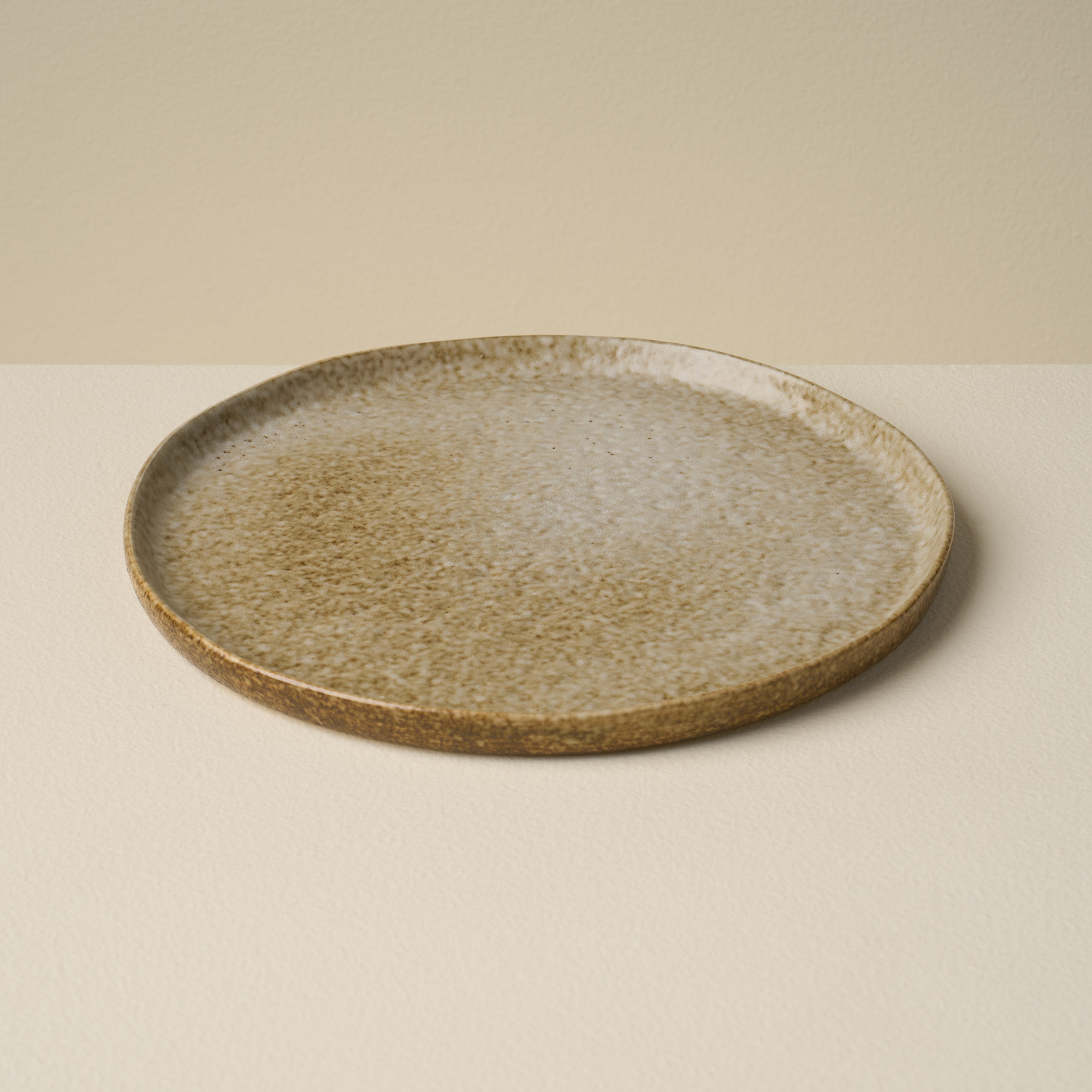 Terrain Dinner Plate - Set of 4