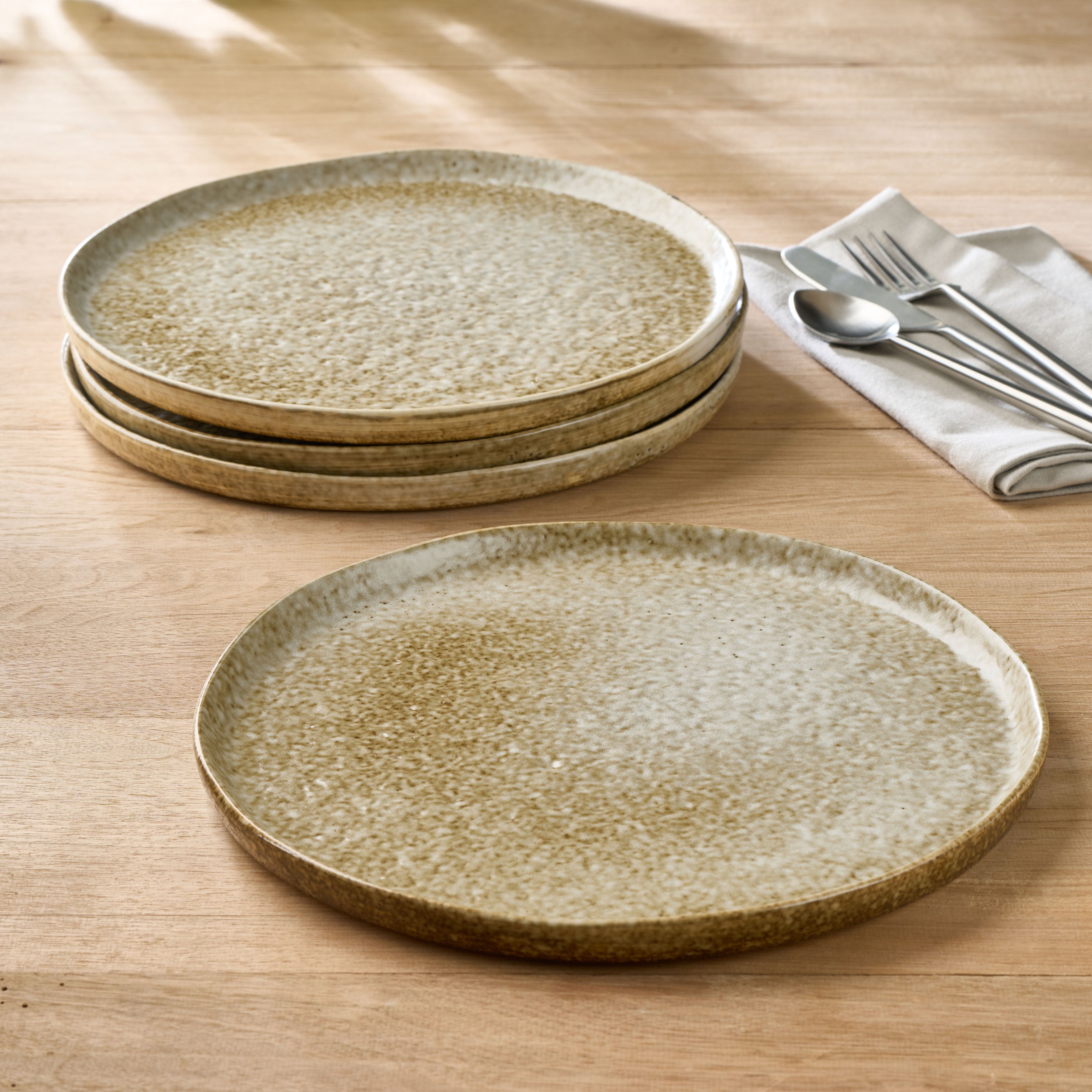 Terrain Dinner Plate - Set of 4