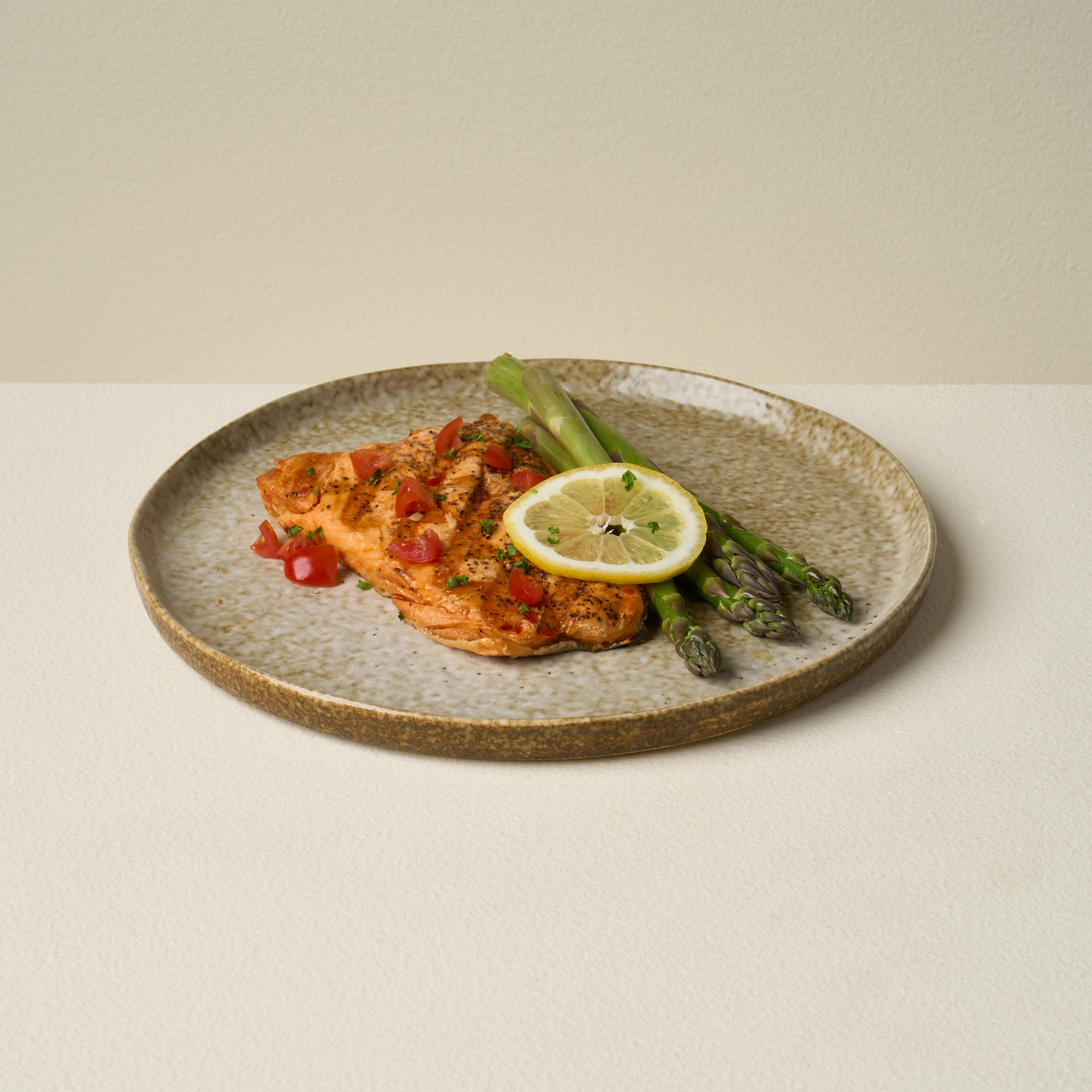 Terrain Dinner Plate - Set of 4